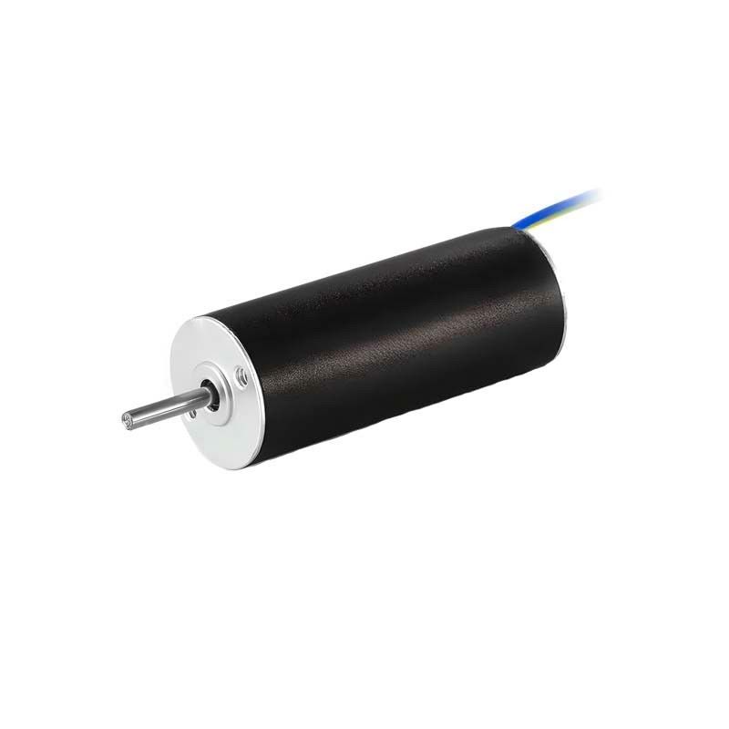 Động cơ không bàn chải tùy chỉnh 12mm 6.5W 25310rpm Động cơ DC không lõi cho máy bơm y tế