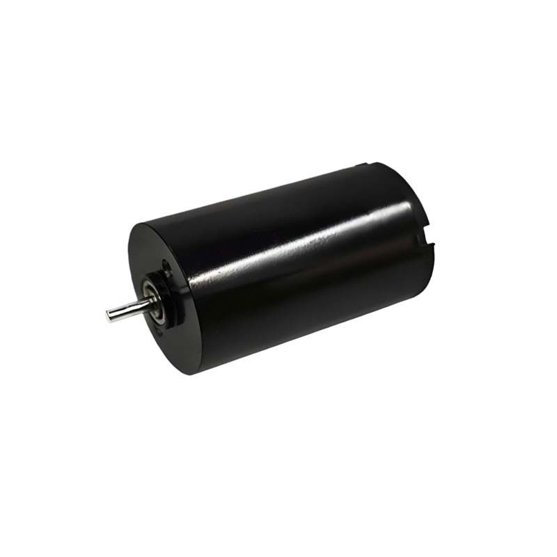 Động cơ DC chải 16mm 1,57 Watt 9980rpm Động cơ DC chải điện 24V tùy biến
