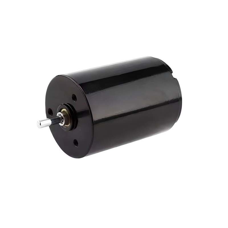 Động cơ bàn chải carbon điều khiển dễ dàng Micro 22mm 3.61 Watt 6900rpm 36V Tùy chỉnh