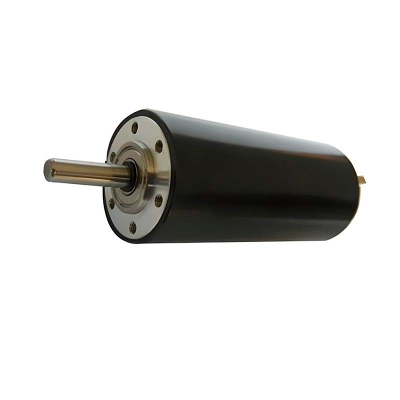 Động cơ DC đánh răng chính xác cao 73 Watt 7760rpm 30mm 48V Động cơ DC điện cho ô tô